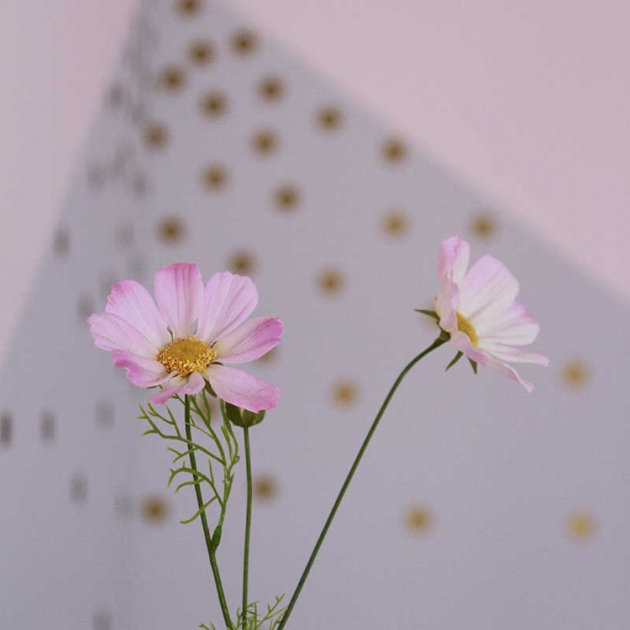 Sausklaar nieuwbouwwoning